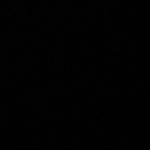 Meet your Posher, Bailey